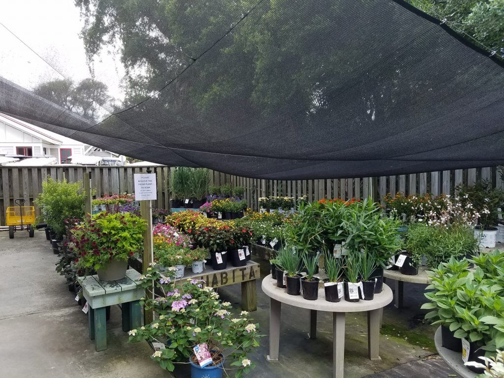 image-787037-Plants2.w640.jpg